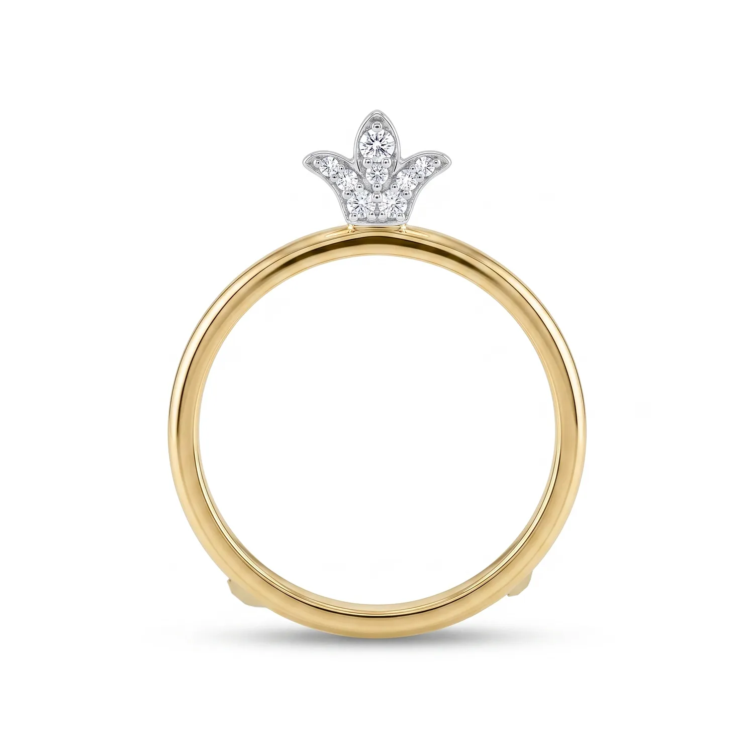 Χρυσή Λιροθήκη Κ9 με Λευκόχρυση Κορώνα και Ζιργκόν